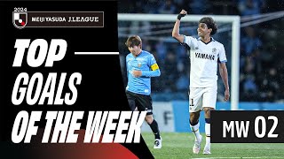 Stunning goals continue the JLeague thrills  2024 JLEAGUE TOP GOALS  MW 2 [upl. by Eillak]