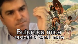 Marius Nicorici  Buturuga mica rastoarna carul mare [upl. by Eelyak333]