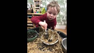 Forest School  Making our own birds nests [upl. by Marigolda]