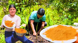 De esta manera hacemos la CURCUMA en POLVO en en Campo  NATHALIA [upl. by Aicener63]