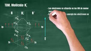 101 Teoría de Orbitales Moleculares Molécula N2 [upl. by Jacques926]