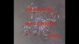 ADN DE TRES Y CUATRO HELICES  CIENCIACONCIENCIACRITICA C3 [upl. by Gaylor]