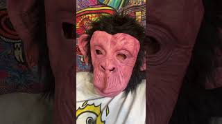 Day 19 of becoming monkey face fyp foryoupage motivation journey [upl. by Annahavas]