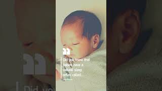 Babies have a natural sleep reflex called quotthe startle reflexquot  Sleep Facts 10 [upl. by Conlan509]