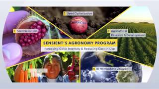 Sensients Agronomy Program [upl. by Annirtak]