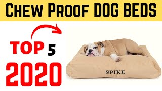 Top 5 Best Durable Chew Proof Dog Beds 2020  Chew Proof Bed For Dogs [upl. by Corsiglia728]