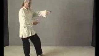 Part 28 Learn Tai Chi Free Long Form Montaigue [upl. by Chelsae]