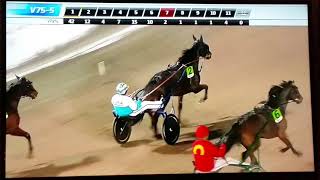 V75 Solvalla Top 7 Oracle Tile [upl. by Morton]