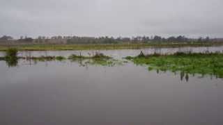 Flooding River Isla Perthshire Scotland [upl. by Ecnedurp]