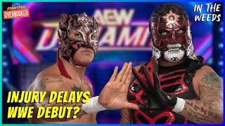 Injury Time Delays Lucha Bros WWE Debut  In The Weeds 92724 [upl. by Varden]