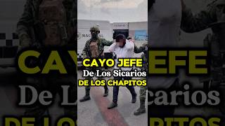 JEFE DE SICARIOS DE LOS CHAPITOS ES ARRESTADO EN CULIACÁN mexico narcos culiacan shorts facts [upl. by Roanne]