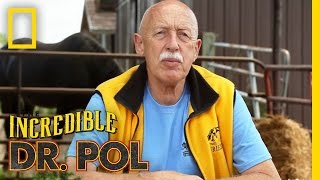 Its Time for a Refill  Season 2 Episode 1  Coffee Break With Dr Pol [upl. by Ariahay]