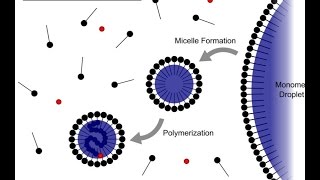 Emulsion Polymerization [upl. by Anyrb404]