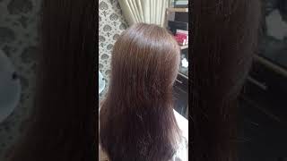 Brown hair transformation with gray hair coveragefashion hair dye without cutdownbrown hair dye [upl. by Ahseik]