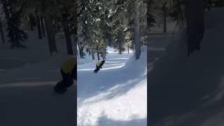 Super Sick Ski Line Through Trees [upl. by Dorren2]