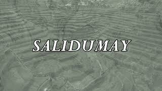 Salidumay  Music of Cordillera  Minus one  Instrumental [upl. by Uird]