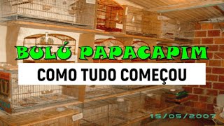 COMO COMEÇOU O CRIATÓRIO BULÚ PAPACAPIM [upl. by Jeggar624]