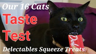 16 Cats Taste Test Delectables Squeeze Treats [upl. by Katt]