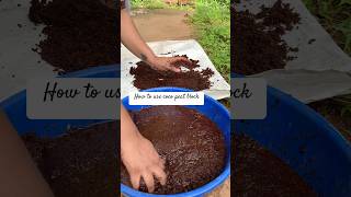 Right way to use coco peat  coco peat 1kg block expansion ASMR asmr cocopeat viralvideo shorts [upl. by Fasa]