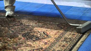 Karastan Rug Cleaning Step 3  Submersion Cleaning NYNJCT [upl. by Viveca]