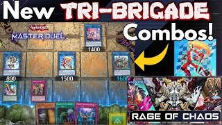 The ULTIMATE TRIBRIGADE SPRIGHT COMBO GUIDE Part 1 [upl. by Guillema]