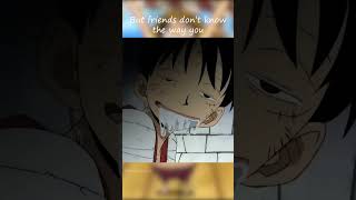 Luffy and Chopper moments onepiece emergencyfood [upl. by Edina]