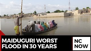 Maiduguri Submerged by Worst Flood in 30 Years Thousands Displaced [upl. by Naitsyrk]