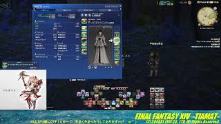 隊長が【 FF14（Gaia Tiamat） 】ちょいネタバレで逝く！！ [upl. by Tannenwald]