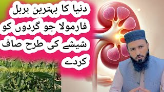 World best kidney Stones Herbs🌿 Gurdon se pathri kaise nikalti haHome Remedies [upl. by Ginnie]