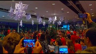 International School of Stavanger Holiday Highlights 2017 [upl. by Aletta803]