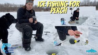 Ice Fishing For Perch [upl. by Nyrad243]