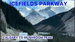 ICEFIELDS PARKWAY  MOST SCENIC DRIVE IN THE WORLD  ALBERTA CANADA [upl. by Audi]