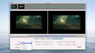 How to Download and Convert YouTube to QuickTime MOV [upl. by Genna]