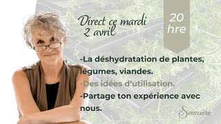 🍅 COMMENT DÉSHYDRATER LES HERBES LES LÉGUMES LA VIANDE🥓 [upl. by Atirehs]