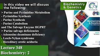 Purine and Pyrimidine Metabolism  Adenosine deaminase deficiency  LeschNyhan syndrome [upl. by Naashom]