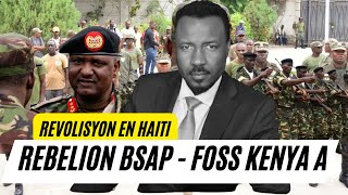 BSAP REBELE KONT ARIEL  KENYA KA PA ENTRE AYITI  ESKE KOU DETA PWAL KONTINYE AYITI  ABNER GELIN [upl. by Hadlee437]