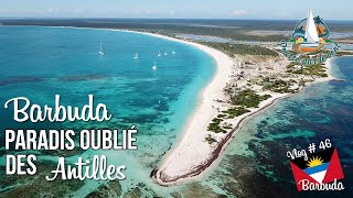 Vlog 46 ☆ Barbuda paradis oublié des caraïbes [upl. by Sedecrem242]