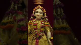 Radhe Radhe ðŸ™ðŸ»â¤ï¸ytshorts radha like subscribe support shorts share new [upl. by Neehs944]