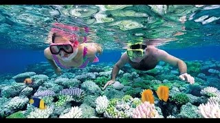 Zanzibars Top 5 Honeymoon Hotels 2017 [upl. by Katushka]