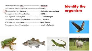 14 Dichotomous key  IGCSE BIOLOGY  httpswwwl2htuitioncom [upl. by Adirehs]