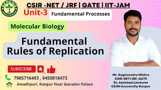 Fundamental Rules of Replication  DNA Helicase SSB Proteins Primase  Molecular Biology  L3 [upl. by Matheny86]