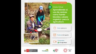 Aprendiendo el uso de cenizas como fuente biocida y abono organico para la agricultura 270824 [upl. by Gelhar]