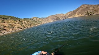 Most epic striped bass fishing ever  Pyramid lake CA [upl. by Harshman184]