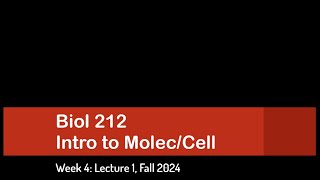 CSULB Biol 212 Fall 2024  Week 4 Lecture 1 [upl. by Aneerak]