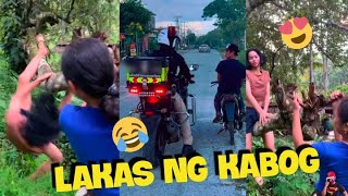 MATABANG TILAPIA YONG BIGLA KA NALANG KIKILIGIN SA KABA New Funny videos REACTION VIDEO [upl. by Nirrok286]