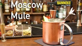 Moscow Mule  Vodka Longdrink selber mixen  Schüttelschule by Banneke [upl. by Ferreby]