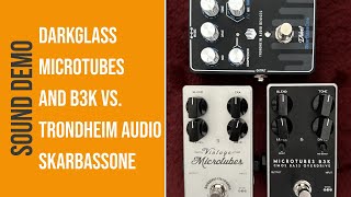 Darkglass Overdrives vs Trondheim Audio SkarBassOne [upl. by Thordis]