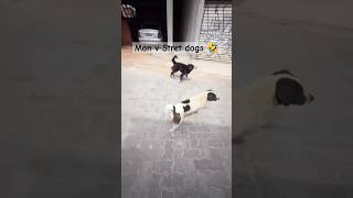 Man v Street dogs 🤣🤣shorts funny viralvideo viralshorts animals pets dog doglover [upl. by Ohce]