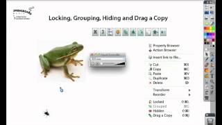 ActivTips  Grouping Hiding and Locking Images [upl. by Ahron951]