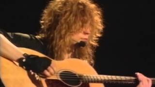 DEF LEPPARD  LIVE IN SHEFFIELD  1993  FULL CONCERT [upl. by Hyacinthie]